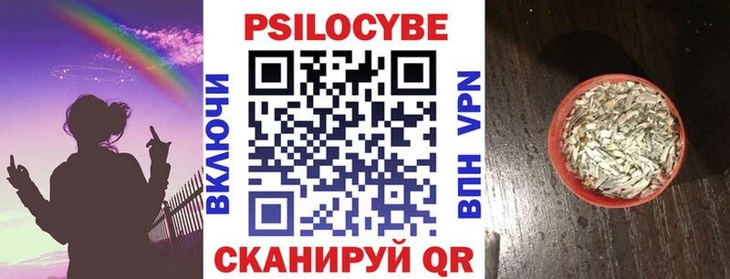 Купить закладки Весьегонск Галлюциногенные грибы Psilocybine cubensis